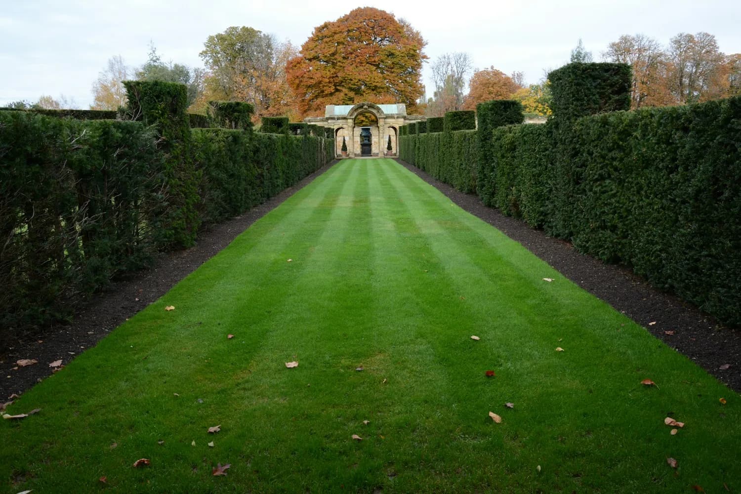 A professionally maintained lawn bordered by trimmed hedges